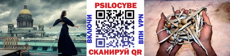 Купить закладки  Шахунья  Галлюциногенные грибы Psilocybe 